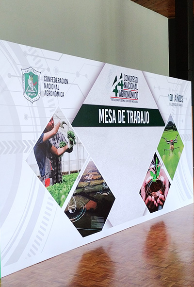 mesa-de-trabajo
